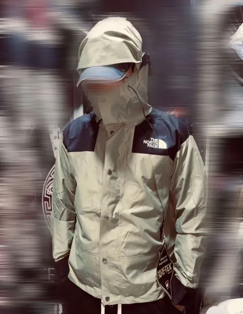 Veste the north face