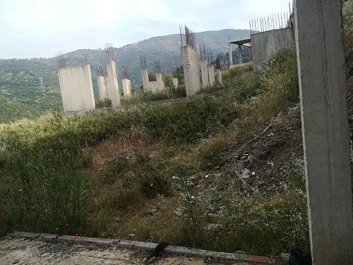 Vente Terrain Blida Bouarfa