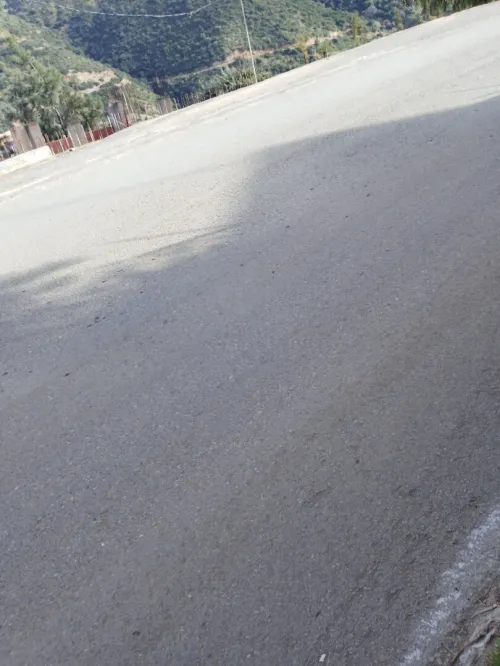 Vente Terrain Blida Bouarfa