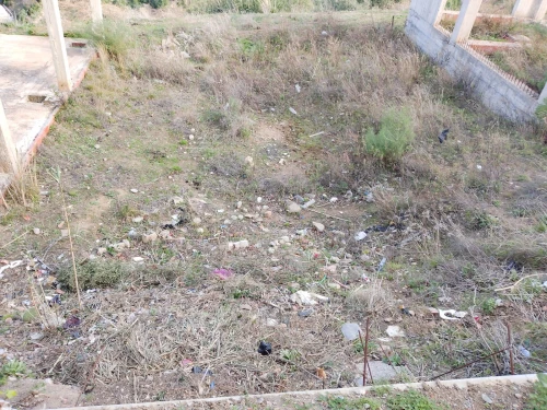 Vente Terrain Blida Bouarfa