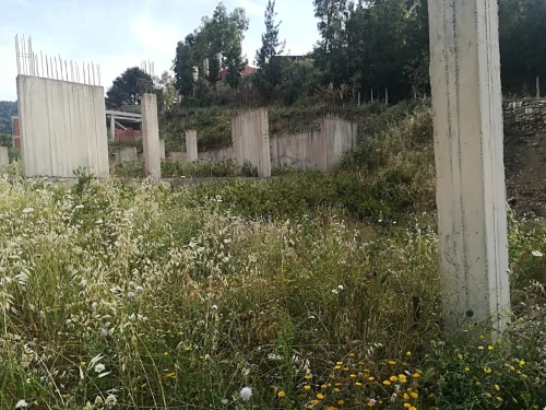 Vente Terrain Blida Bouarfa
