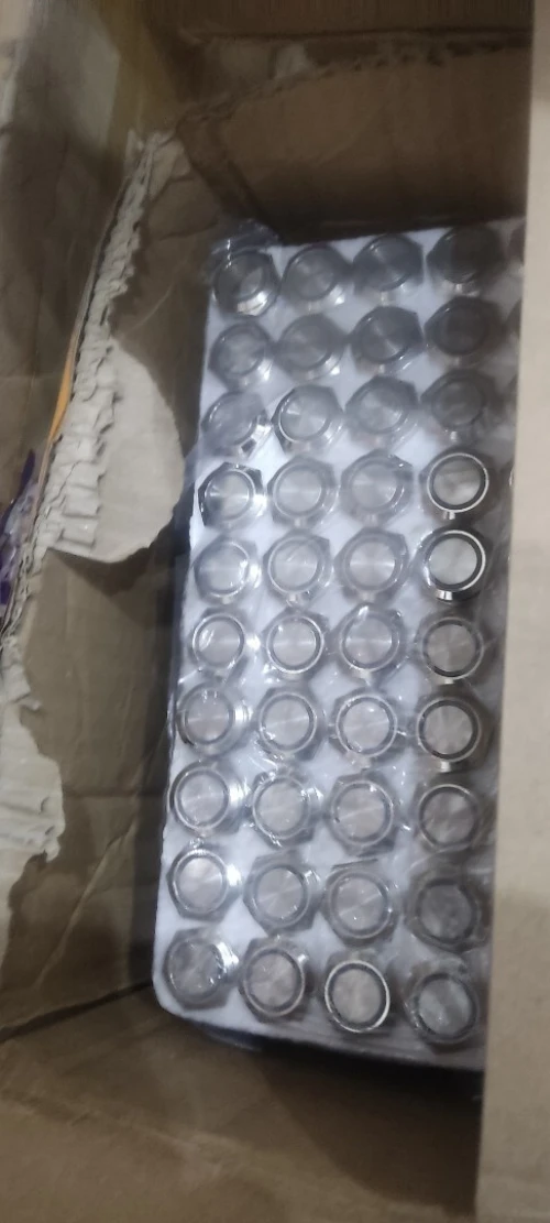 Lot de Bouton poussoir metalique,fusible et connecteur