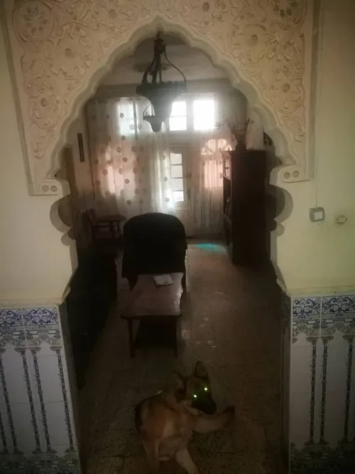 Vente Villa Alger Dar el beida