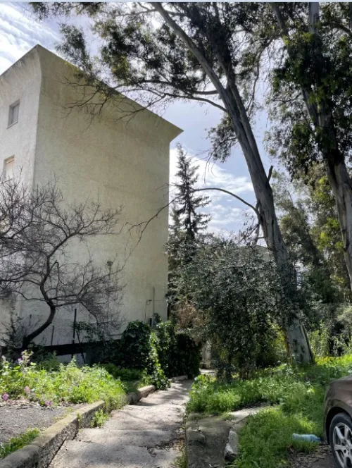 Vente Appartement F3 Alger Chevalley