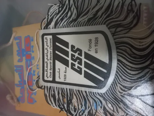 Fanion de collection Sport lot 27 fanions avec 2 classeurs