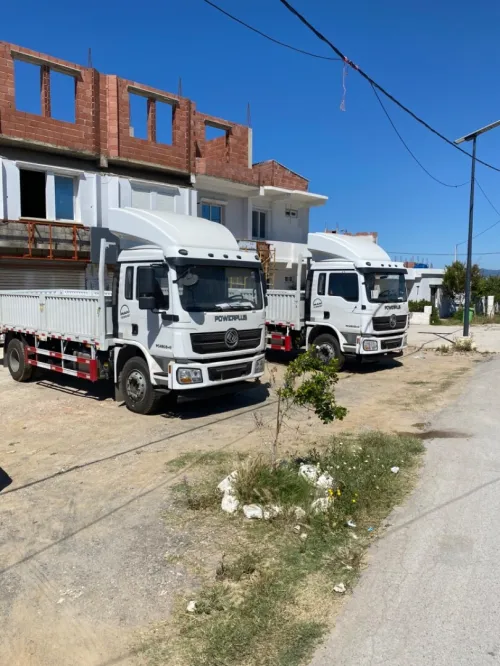 PowerPlus ( Man ) 12T 2025