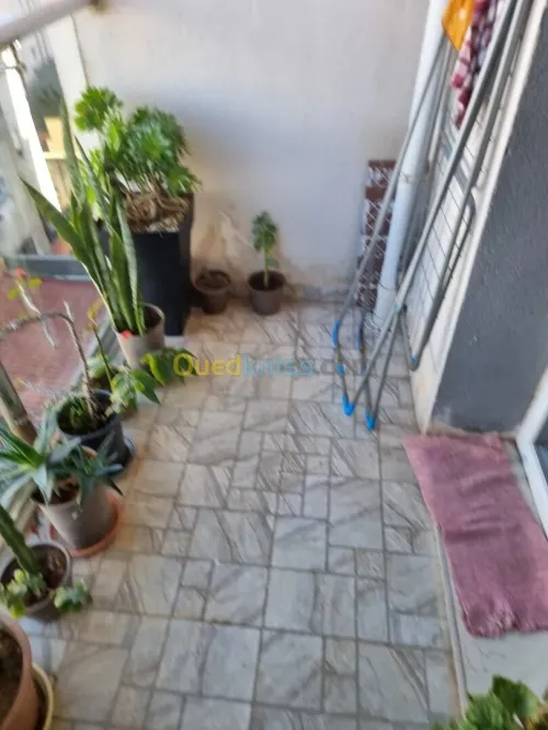 Vente Appartement F3 Alger El achour