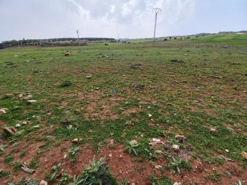 Vente Terrain Tlemcen Tirni beni hediel