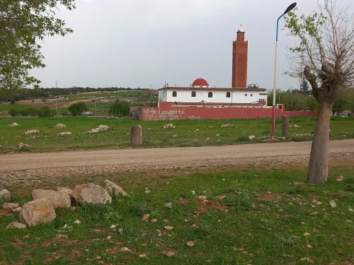 Vente Terrain Tlemcen Tirni beni hediel