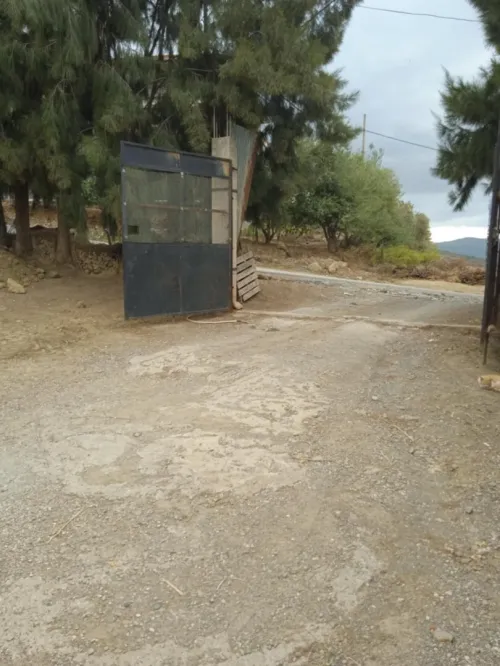 Vente Villa Blida Ain romana