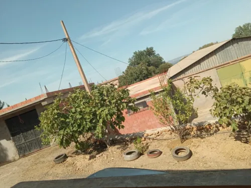 Vente Villa Blida Ain romana