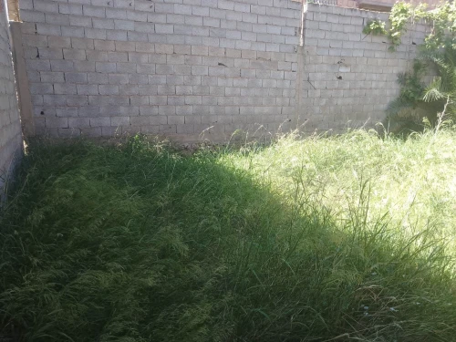 Vente Niveau De Villa F3 Aïn Témouchent Hammam bouhadjar