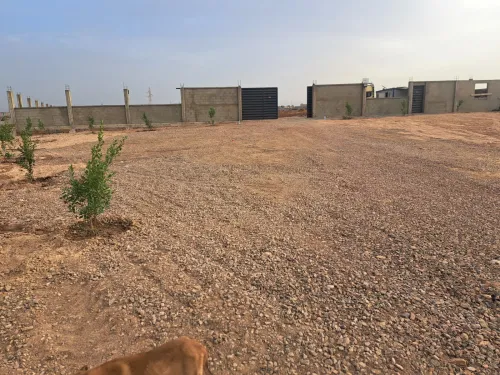 Location Terrain Oran Bethioua