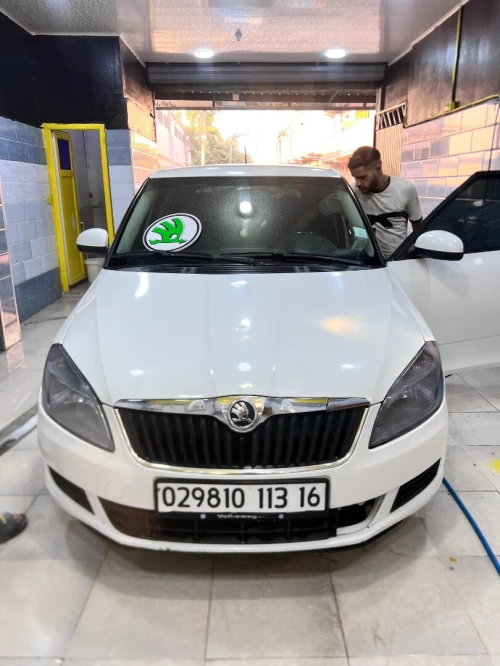 Skoda Fabia 2013 Fresh