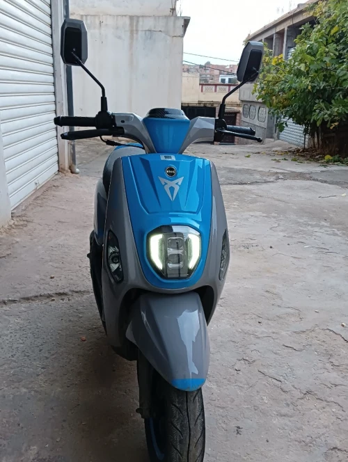 Vms Coxi 2025