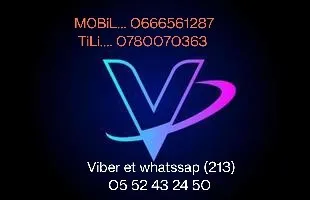 Vente Villa Alger Les eucalyptus