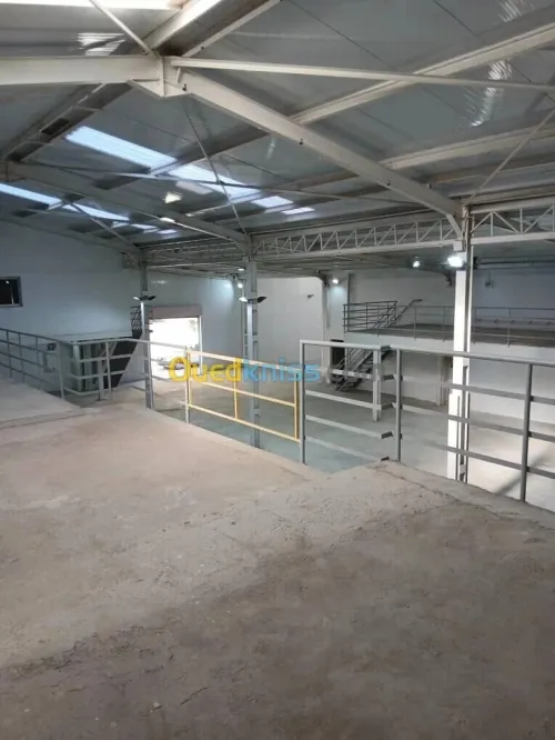 Location Hangar - Usine Alger Cheraga