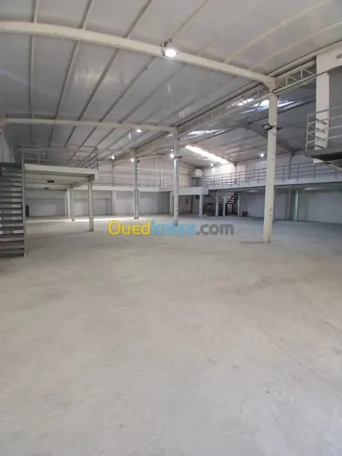 Location Hangar - Usine Alger Cheraga