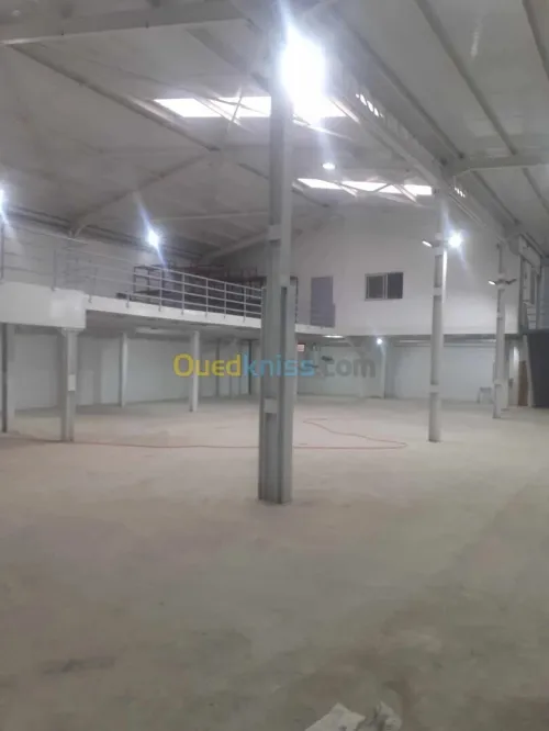 Location Hangar - Usine Alger Cheraga