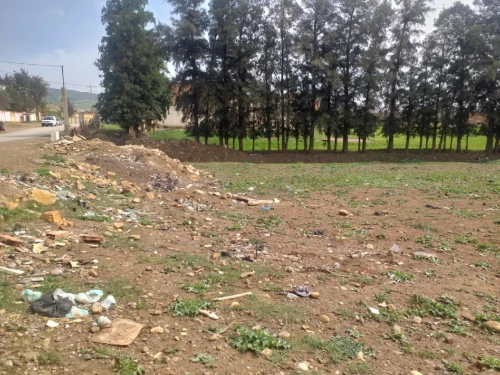 Vente Terrain Agricole Aïn Defla Khemis miliana