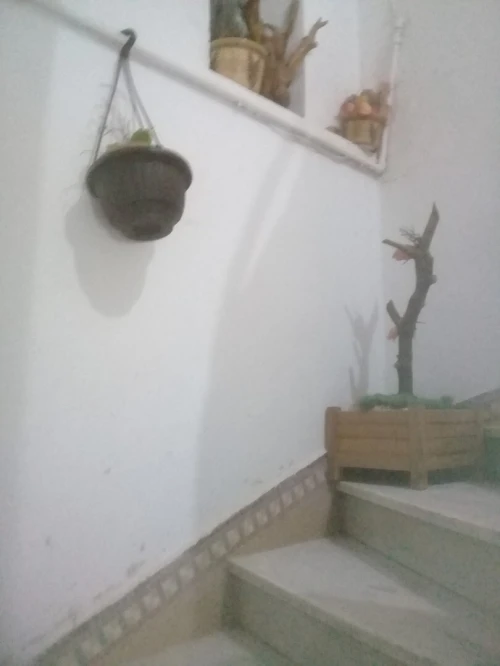 Location Appartement F3 Batna Batna