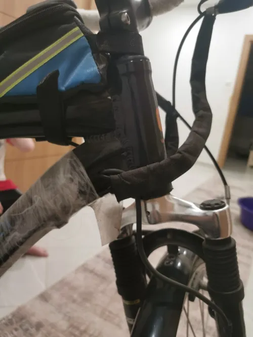 Vélo électrique wayscral allemand