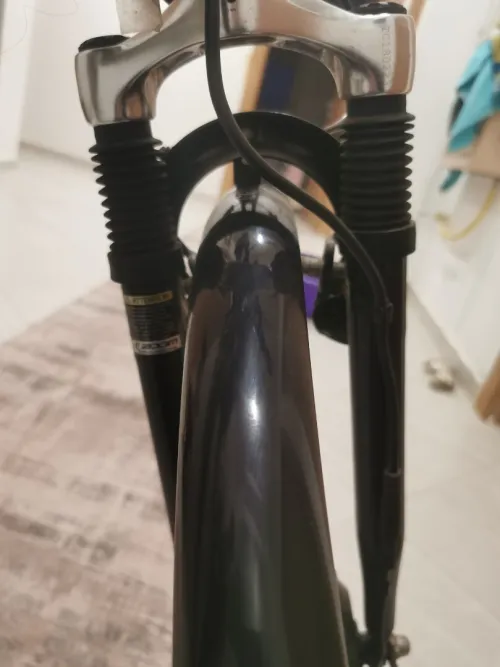 Vélo électrique wayscral allemand