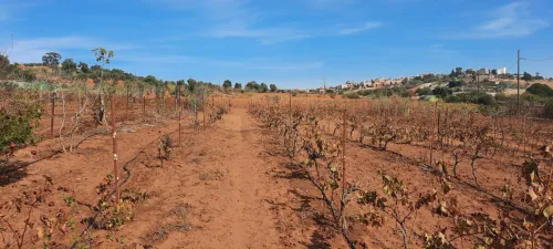 Vente Terrain Mostaganem Sidi ali