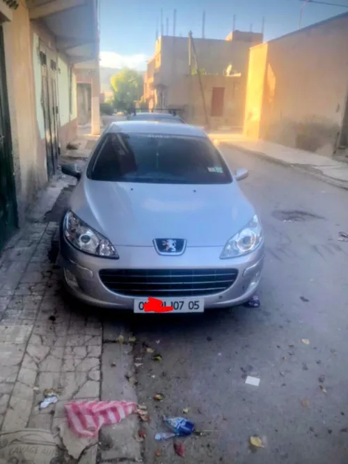 Peugeot 407 2007 407