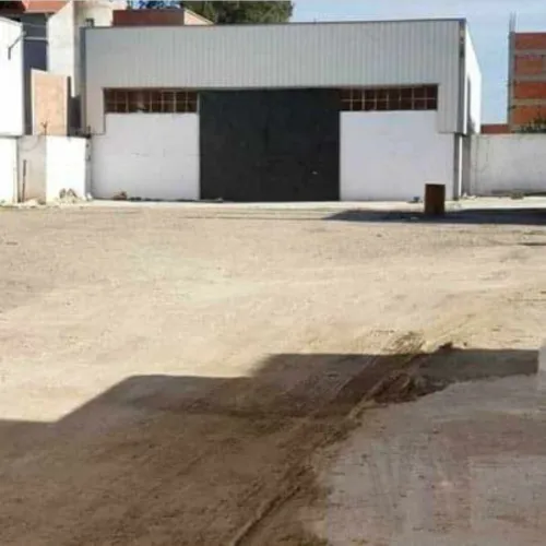 Vente Hangar - Usine Blida Ouled selama