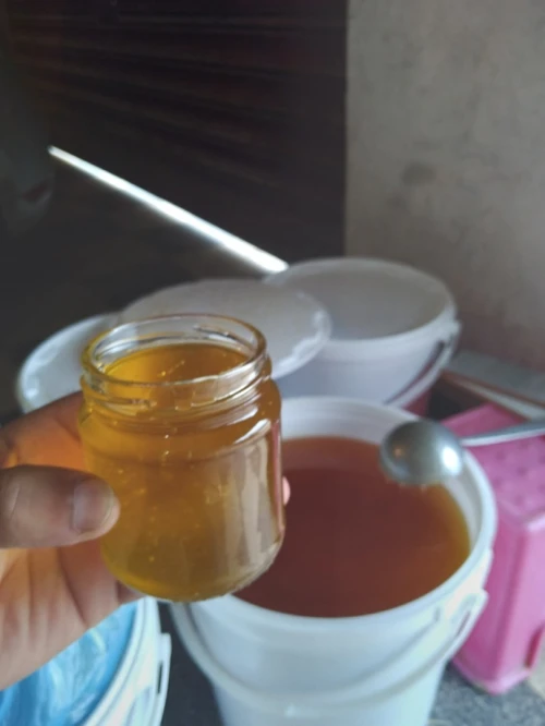 بيع عسل بالجملة 