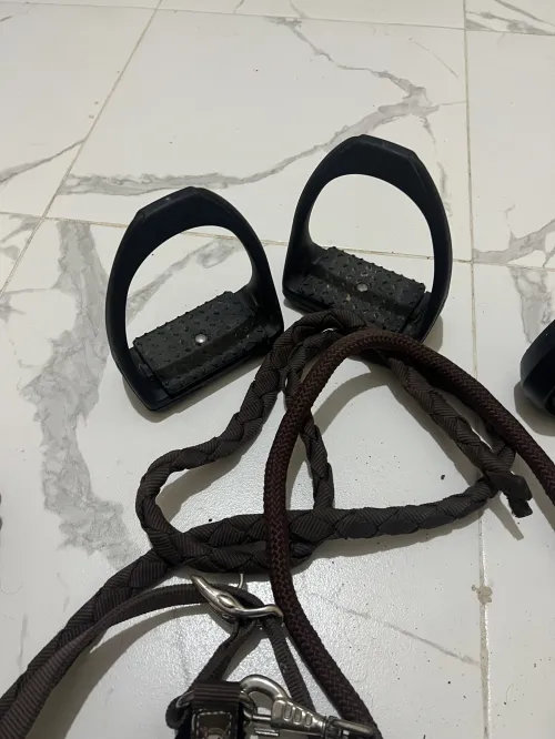 معدات فروسية للخيل