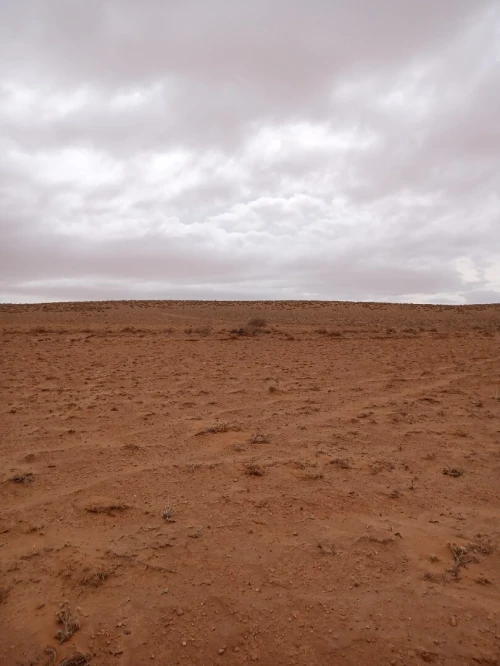 Vente Terrain Agricole M'Sila Zerarka