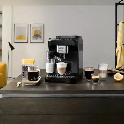 Machine a cafe broyeur Cappuccino delonghi magnifica evo-  -15 BARS