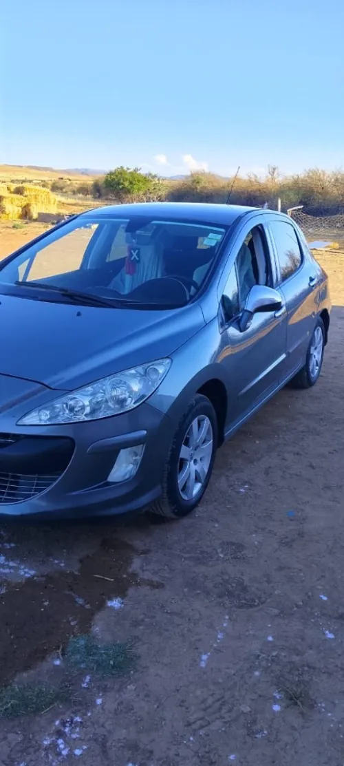 Peugeot 308 2010 Platinum 