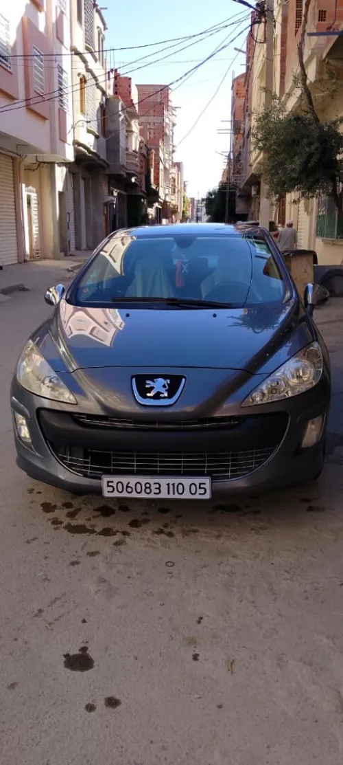 Peugeot 308 2010 Platinum 