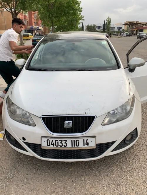 Seat Ibiza 2010 Loca