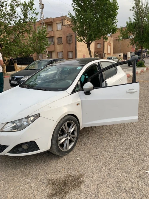 Seat Ibiza 2010 Loca