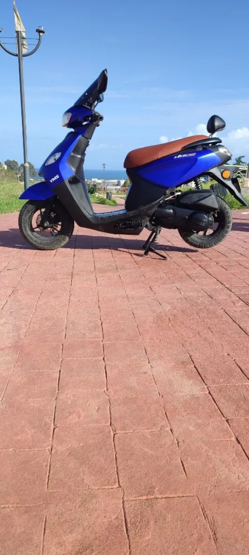 Vms voci