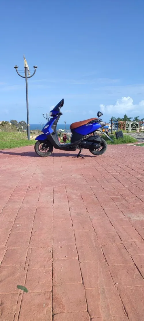Vms voci
