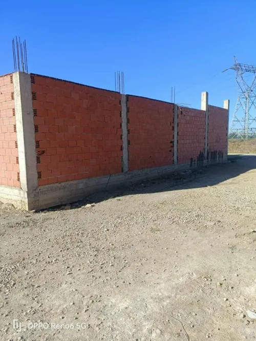 Vente Terrain Alger Tessala el merdja