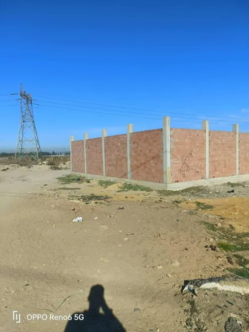 Vente Terrain Alger Tessala el merdja