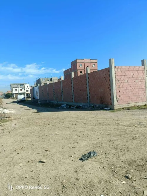 Vente Terrain Alger Tessala el merdja