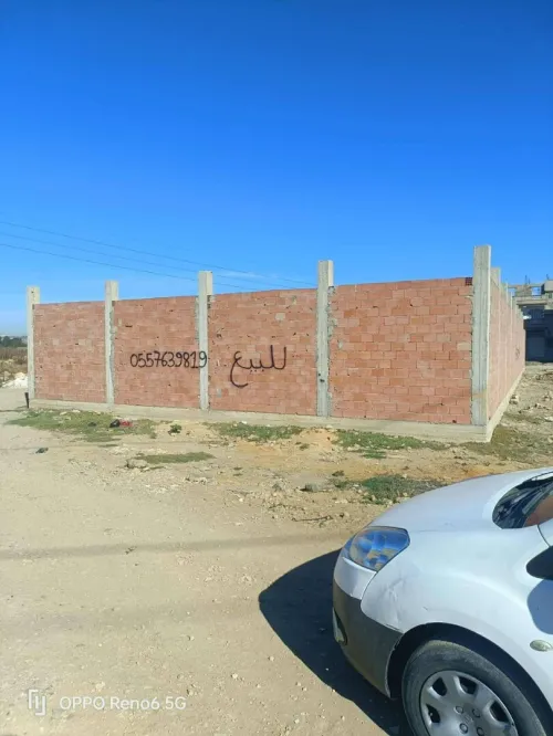 Vente Terrain Alger Tessala el merdja