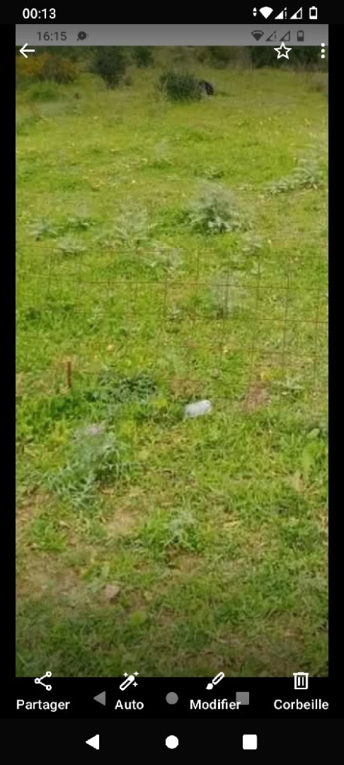 Vente Terrain Bouira Lakhdaria