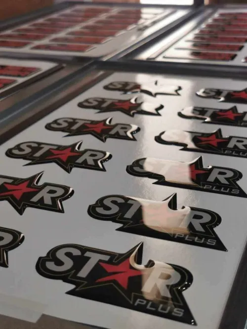 Resine Doming Logo 3D