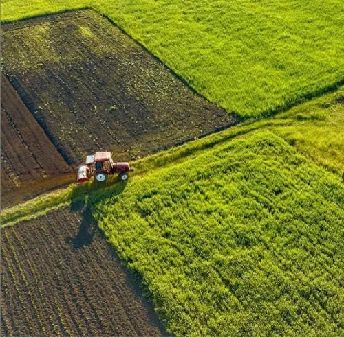 Vente Terrain Agricole Alger Ouled fayet