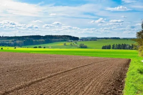 Vente Terrain Agricole Alger Souidania