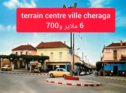 Vente Terrain Alger Cheraga
