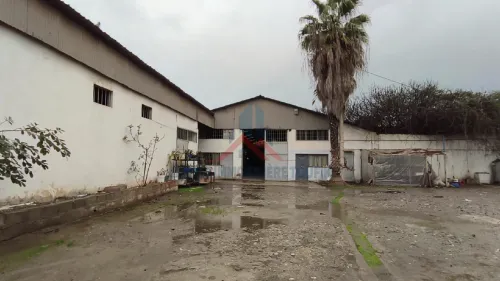Vente Hangar - Usine Alger Gue de constantine
